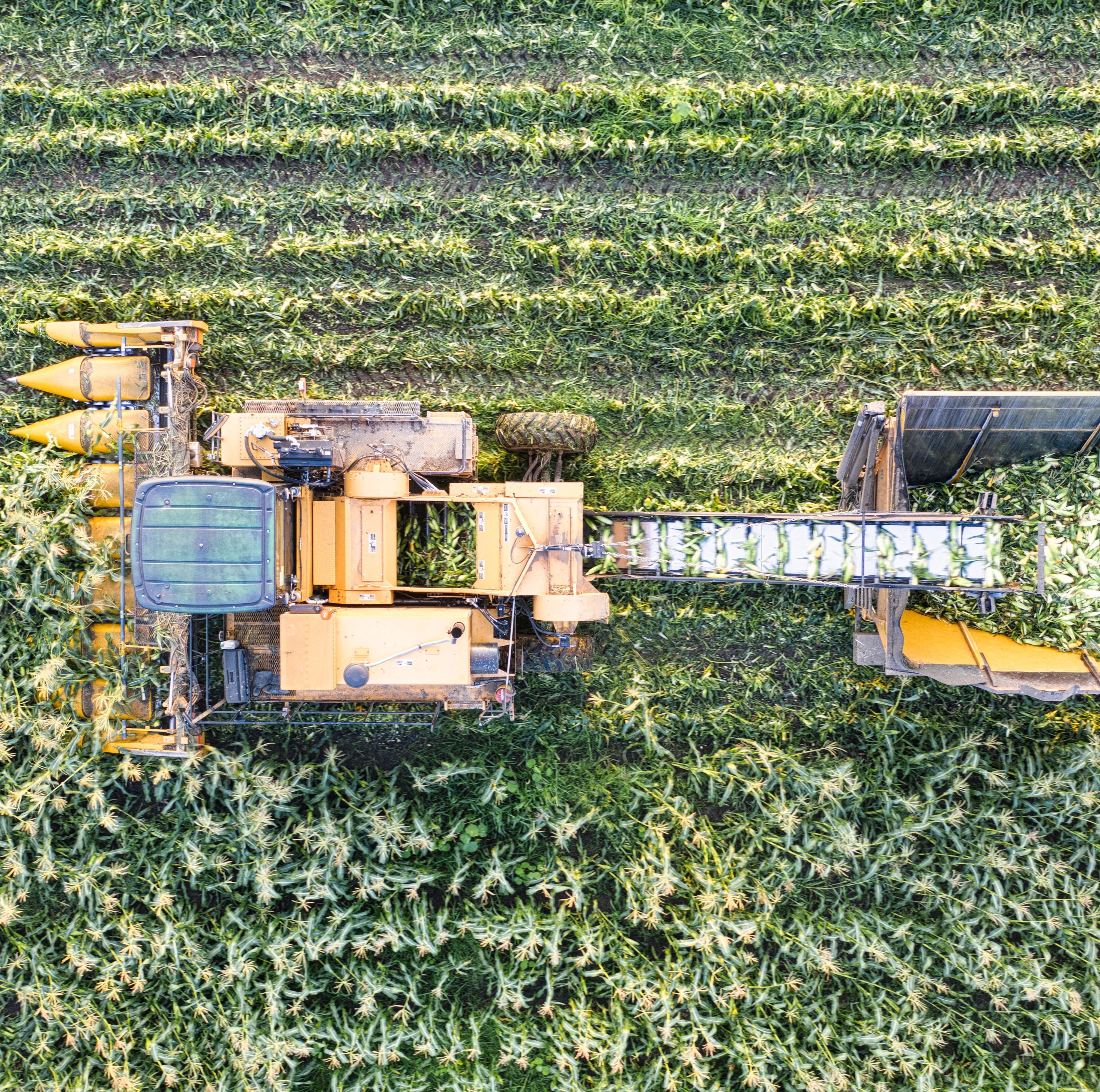 Agroalimentación